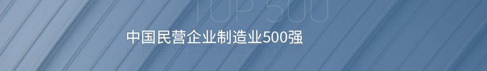 中國民營企業(yè)制造業(yè)500強